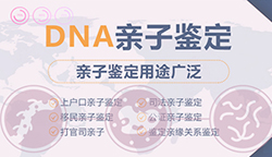 长春匿名DNA亲子鉴定机构地址在哪里（华康中正更正规）