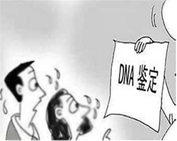 长春亲子鉴定机构费用，长春亲子鉴定中心预约办理