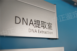 长春司法DNA鉴定需要怎么办理，长春司法DNA鉴定去哪里办理