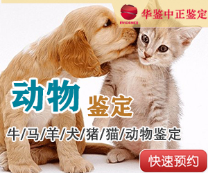 长春动物鉴定